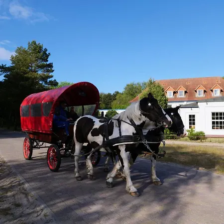 Heiderose Hiddensee מלון Neuendorf (Hiddensee)