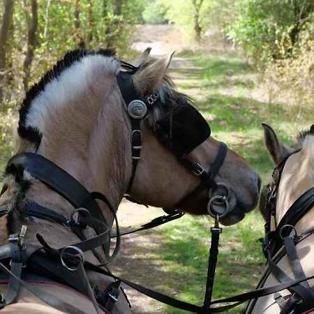 מלון Heiderose Hiddensee