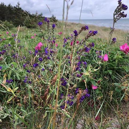 Heiderose Hiddensee فندق 4*