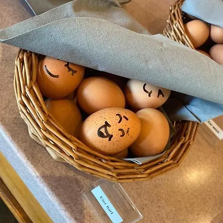 מלון Heiderose Hiddensee Neuendorf (Hiddensee)