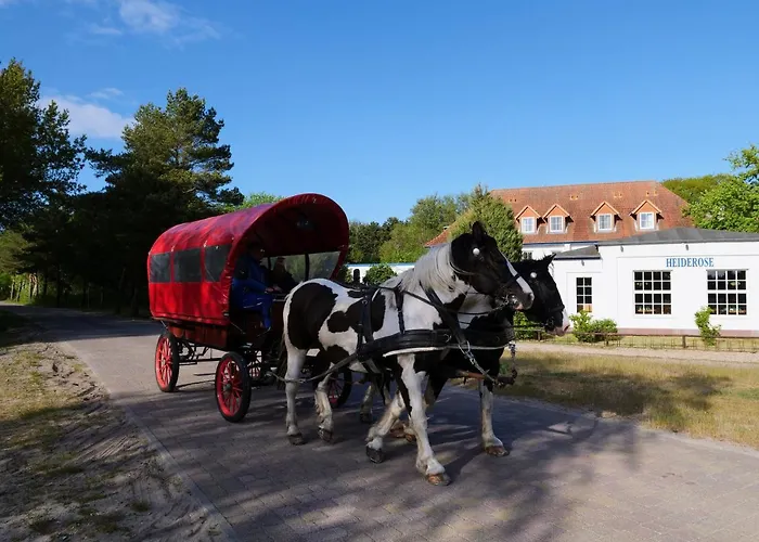 Heiderose Hiddensee فندق Neuendorf (Hiddensee)