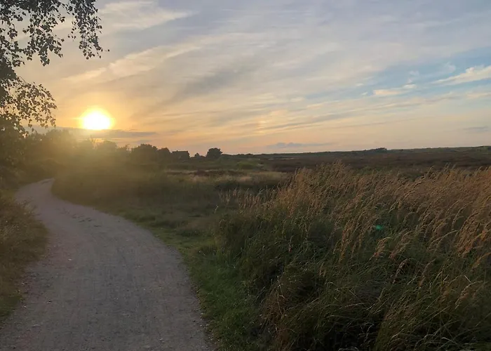 Heiderose Hiddensee فندق Neuendorf (Hiddensee)
