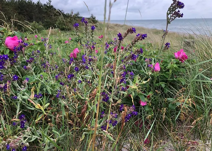Heiderose Hiddensee فندق 4*