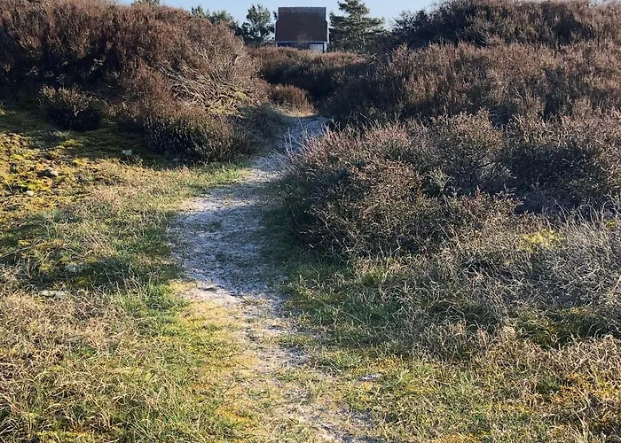 Отель Heiderose Hiddensee